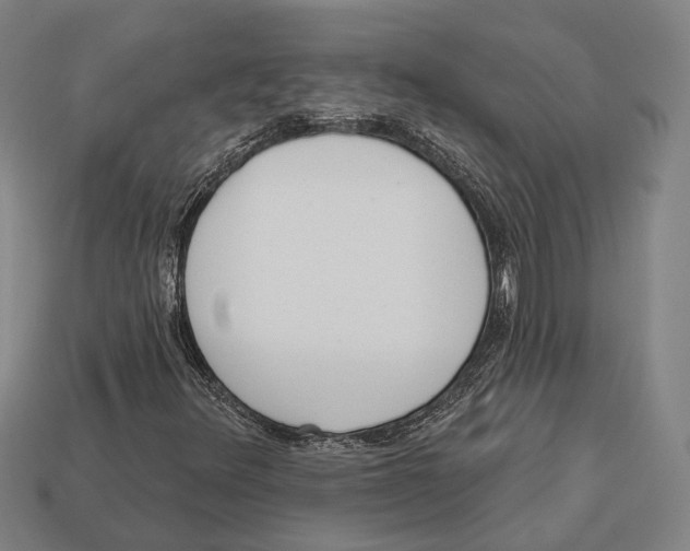 X0000113081348200909250941