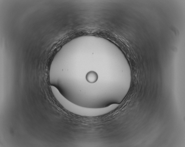 X0000113081349200909250941
