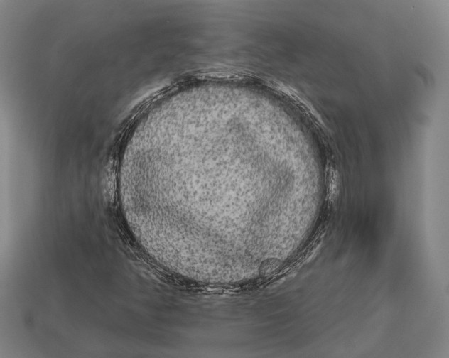 X0000113081350200909250941