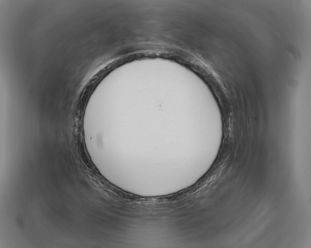 X0000113081352200909250941
