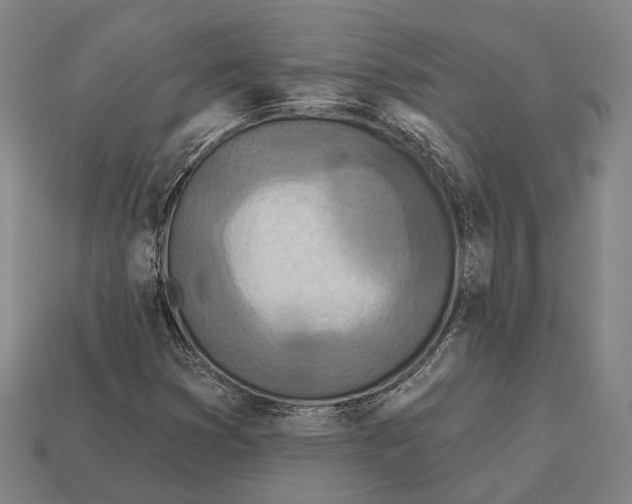 X0000113081353200909250941