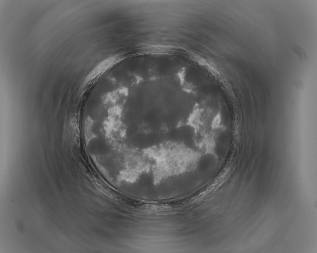 X0000113081354200909250941