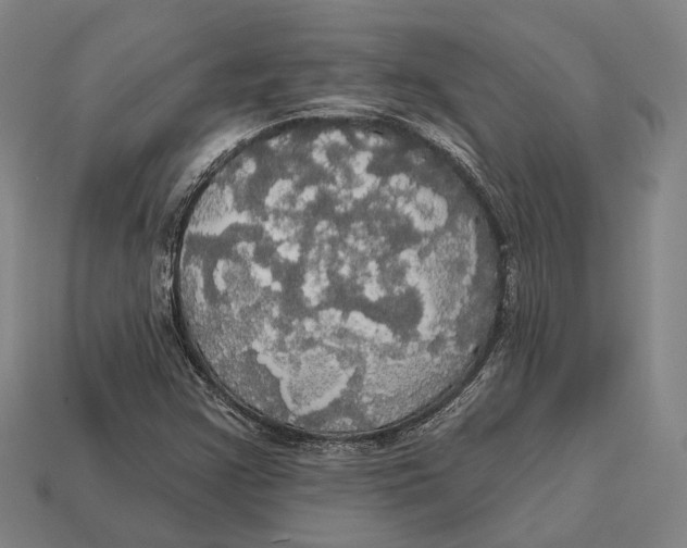 X0000113081355200909250941