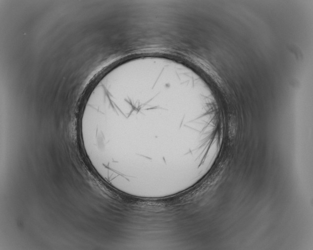 X0000113081356200909250941