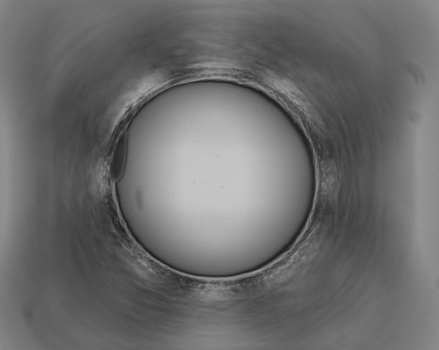 X0000113081357200909250941