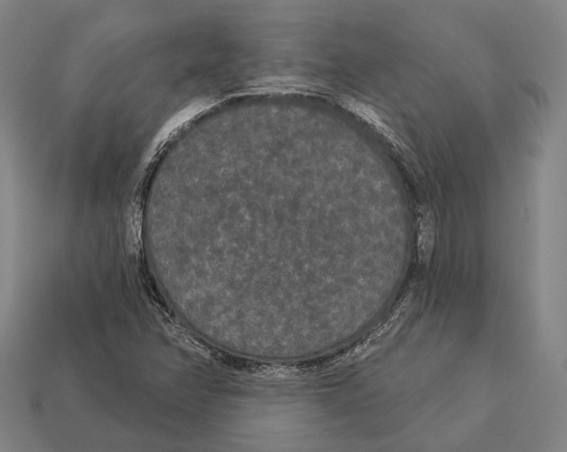 X0000113081358200909250941