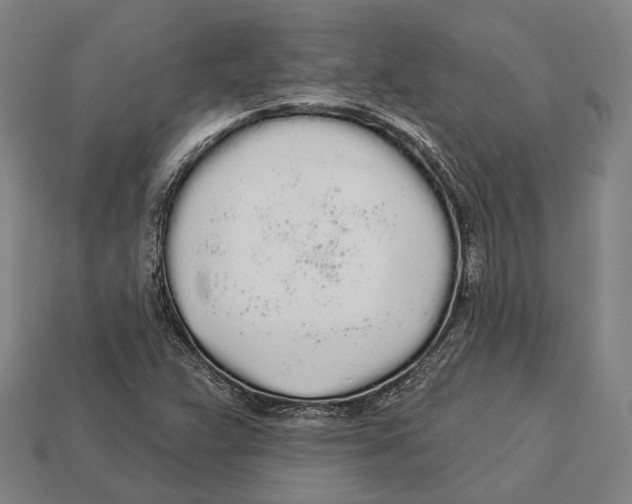 X0000113081359200909250941