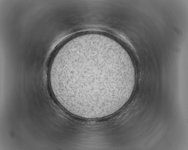X0000113081360200909250941