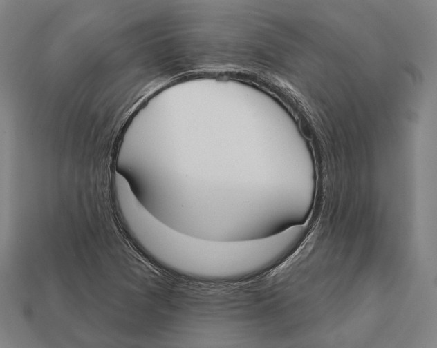 X0000113081361200909250941