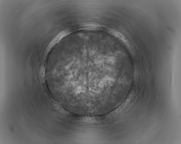 X0000113081362200909250941