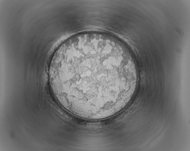 X0000113081363200909250941