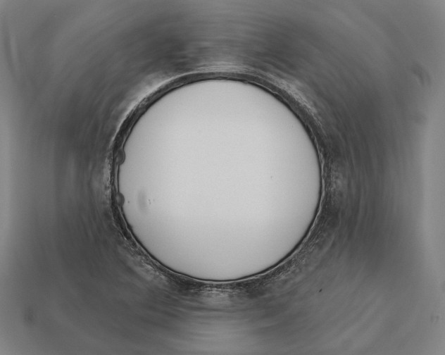 X0000113081364200909250941