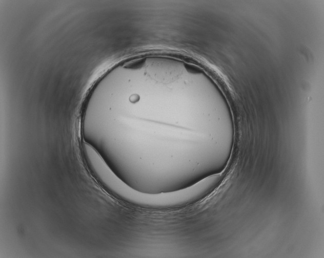 X0000113081365200909250941