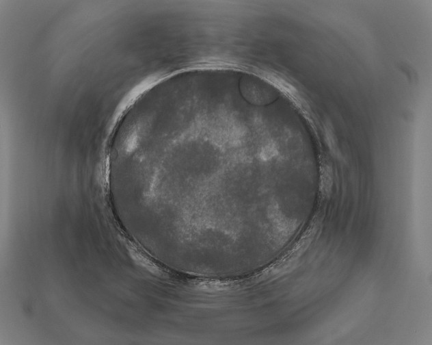 X0000113081366200909250941