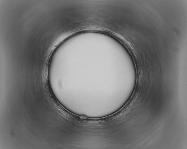 X0000113081367200909250941