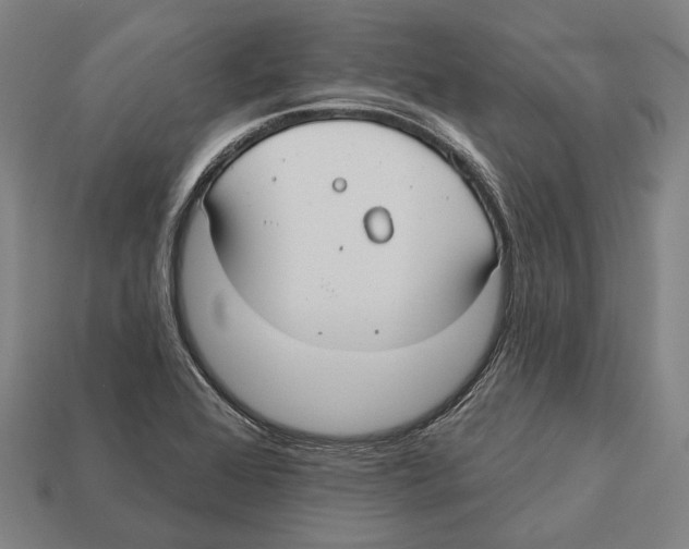 X0000113081368200909250941