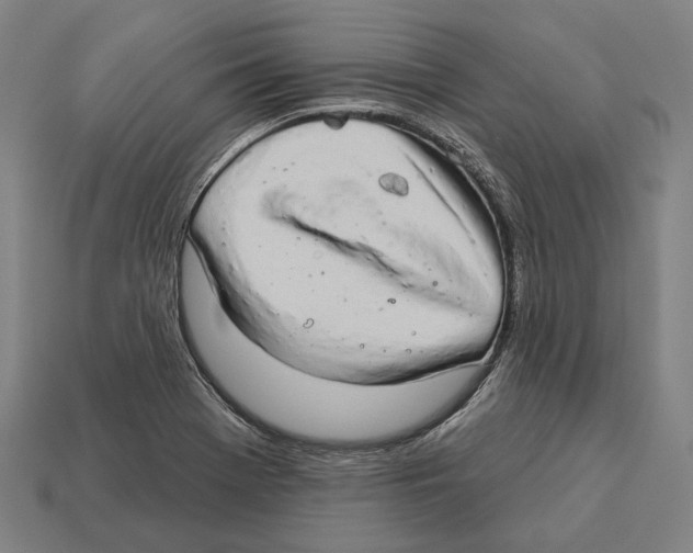 X0000113081369200909250941