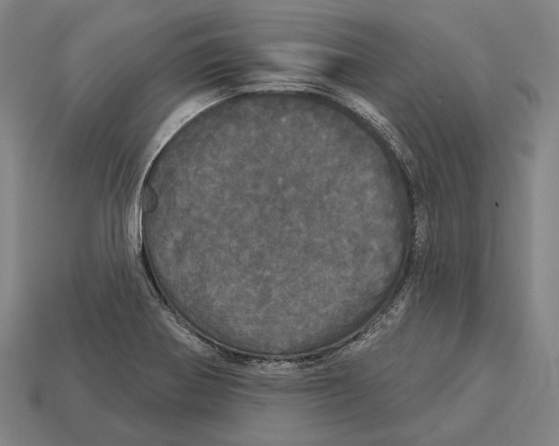 X0000113081370200909250941