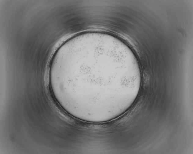 X0000113081371200909250941