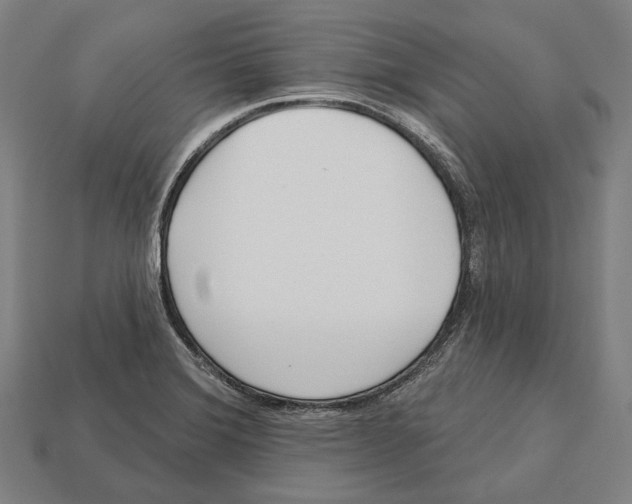 X0000113081372200909250941