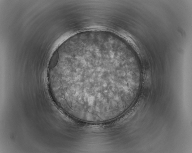 X0000113081373200909250941