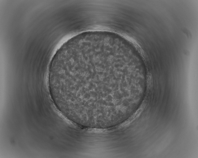 X0000113081374200909250941