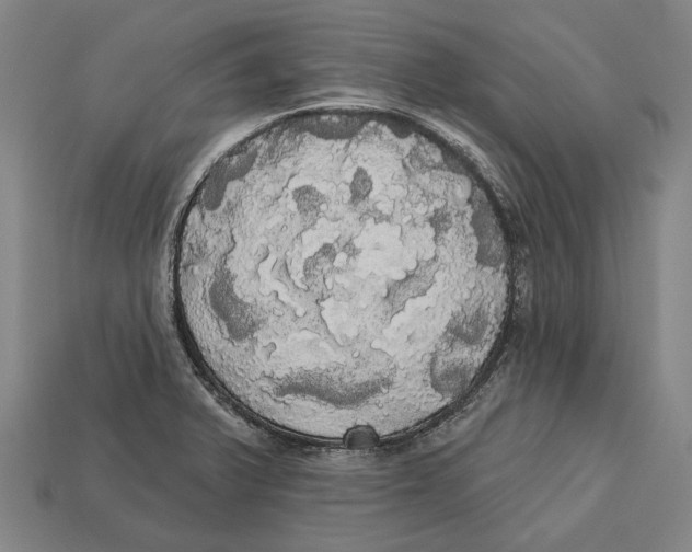 X0000113081375200909250941