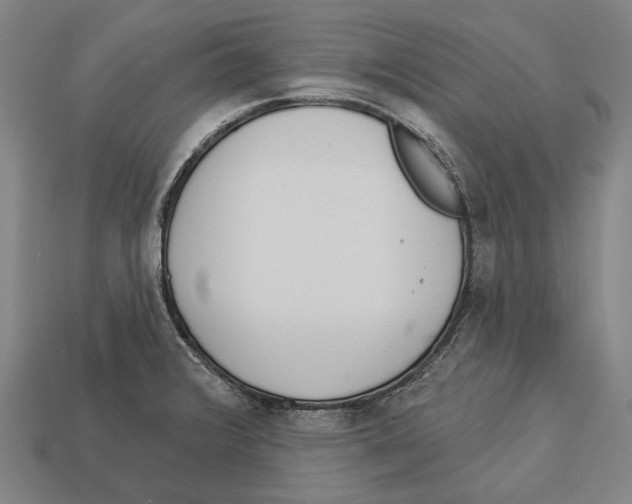 X0000113081376200909250941