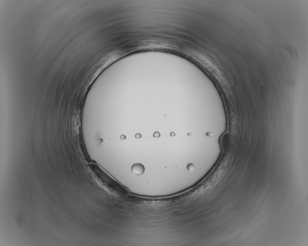 X0000113081377200909250941