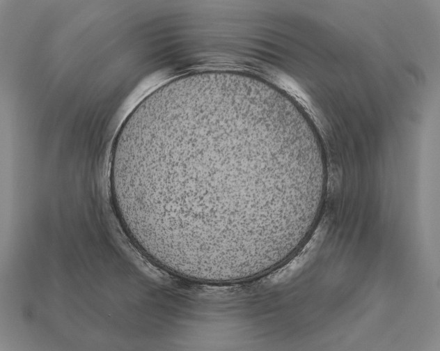 X0000113081378200909250941