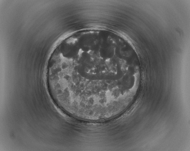 X0000113081379200909250941