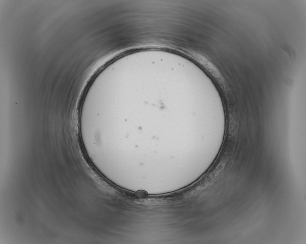 X0000113081380200909250941