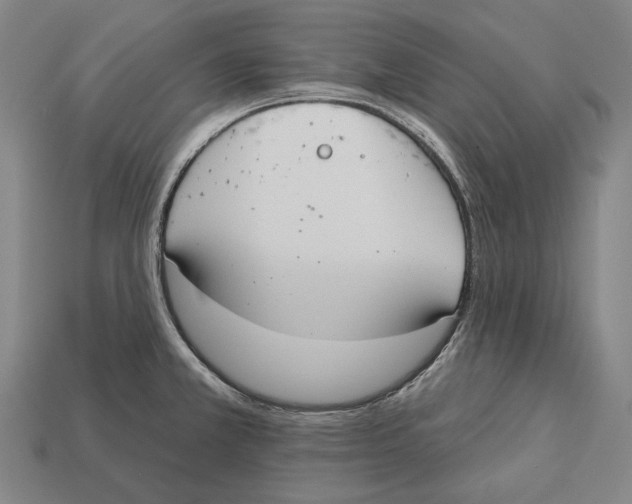 X0000113081381200909250941