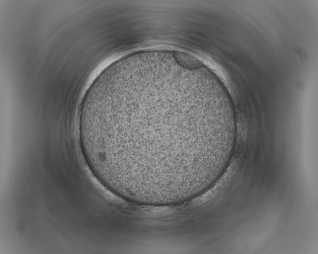 X0000113081382200909250941