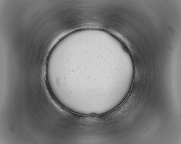 X0000113081383200909250941