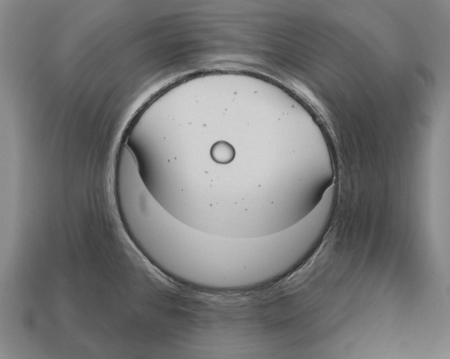 X0000113081384200909250941