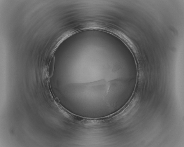X0000113081385200909250941
