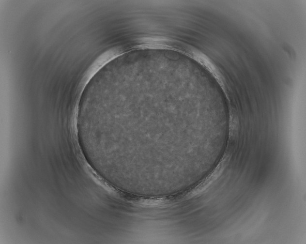 X0000113081386200909250941