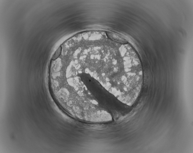 X0000113081387200909250941