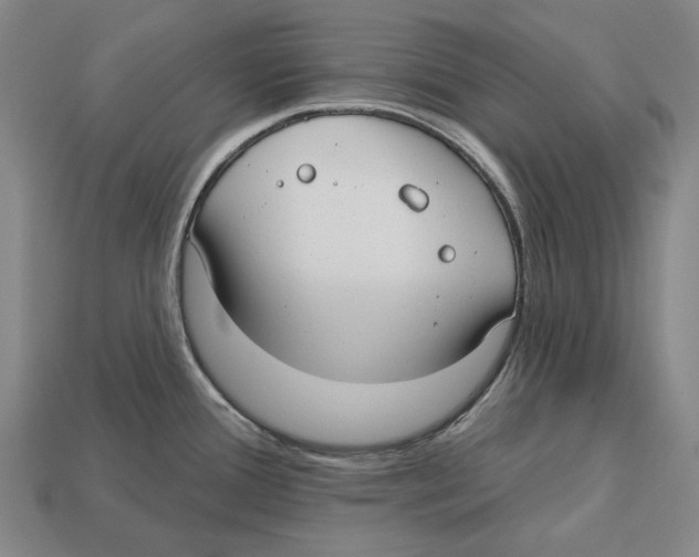 X0000113081388200909250941