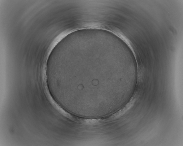 X0000113081389200909250941