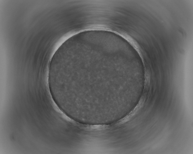 X0000113081390200909250940