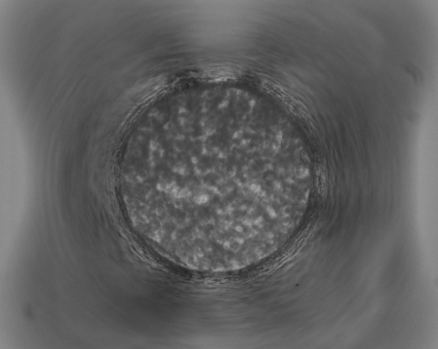 X0000113081393200909250940