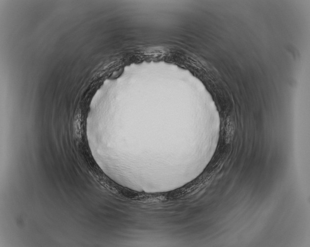 X0000113081394200909250940