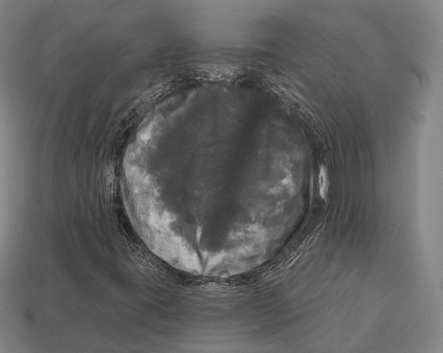 X0000113081395200909250940