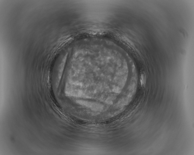 X0000113081396200909250940
