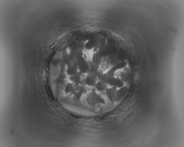 X0000113081397200909250940