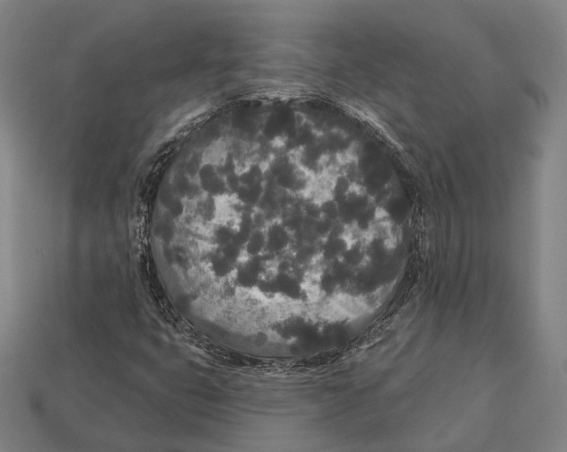 X0000113081399200909250940
