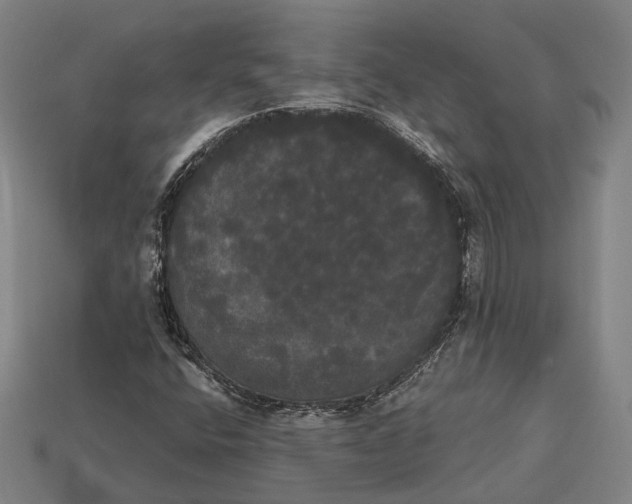 X0000113081400200909250940