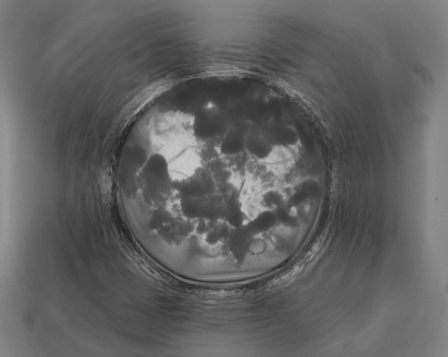 X0000113081401200909250940